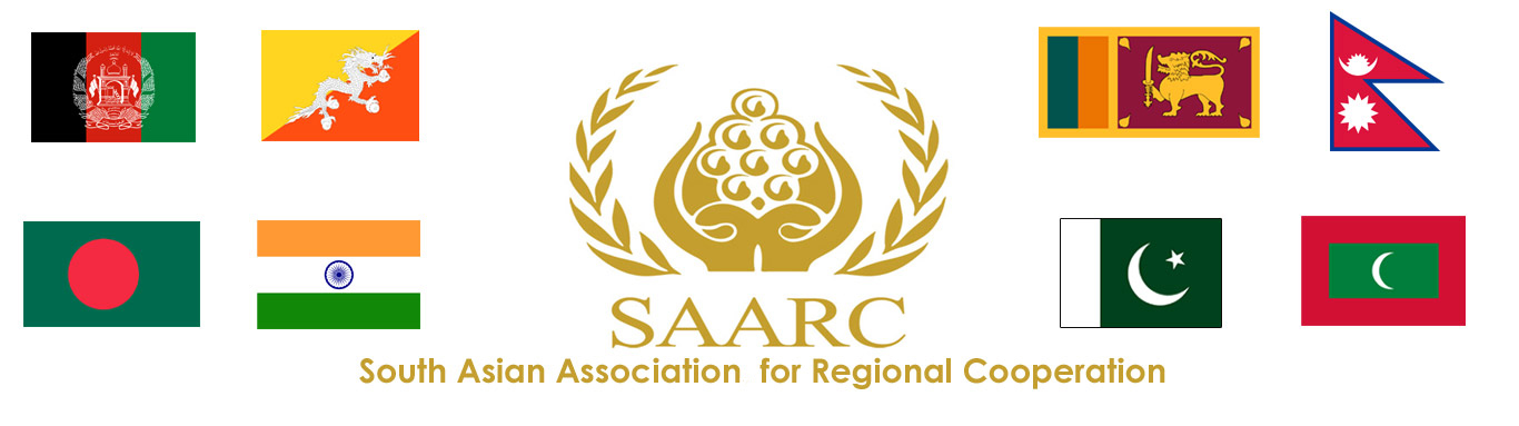 impact of saarc on indian economy project
