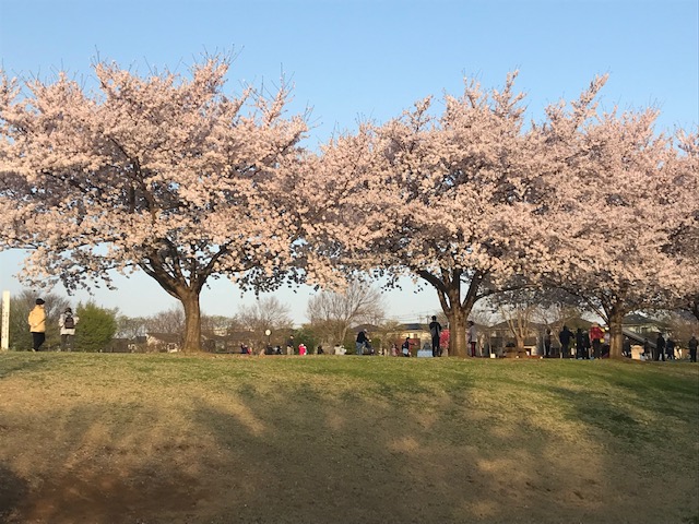 Japan's foreign policy priorities and the six key areas